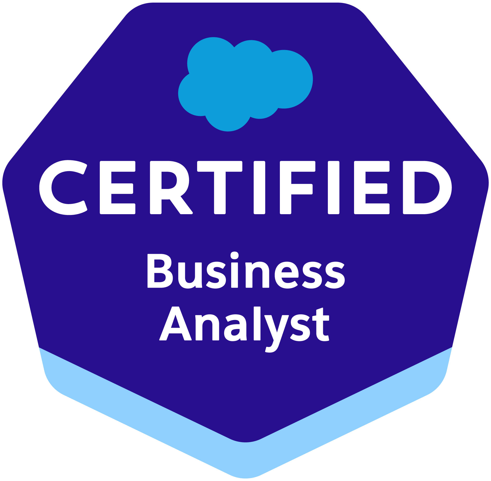 Business Analyst