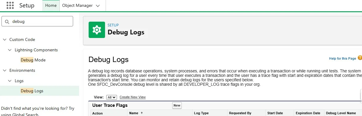 Debug Logs screen in Setup, showing the User Trace Flags list with columns Action, Name, Log Type, Requested By, Start Date, Expiration Date, and Debug Level Name, plus the New button